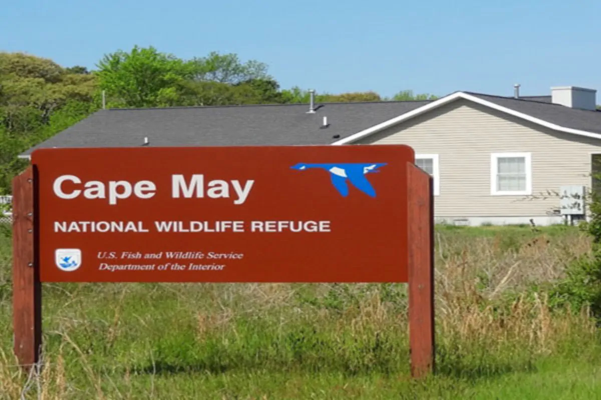 Wildlife Refuge - Cape May County Deck Builder NJ